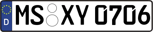 MS-XY0706