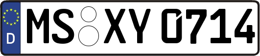 MS-XY0714
