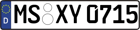 MS-XY0715