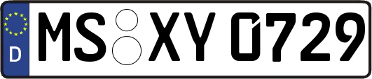 MS-XY0729