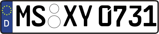 MS-XY0731