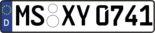 MS-XY0741