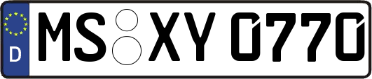 MS-XY0770