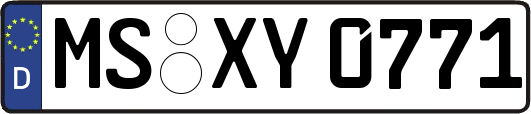 MS-XY0771