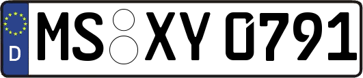 MS-XY0791