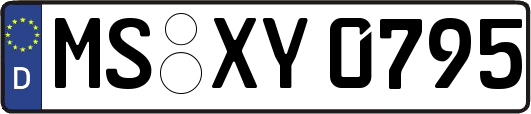 MS-XY0795