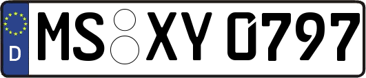 MS-XY0797