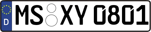 MS-XY0801