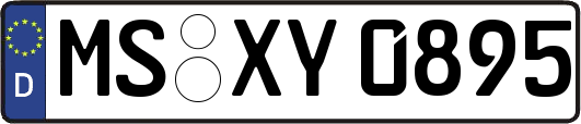 MS-XY0895