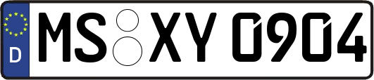 MS-XY0904