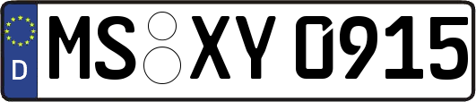 MS-XY0915