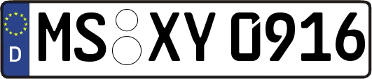 MS-XY0916