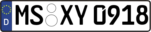MS-XY0918