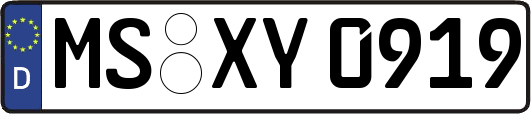 MS-XY0919