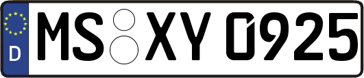 MS-XY0925
