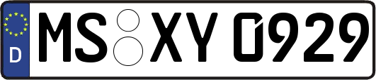 MS-XY0929