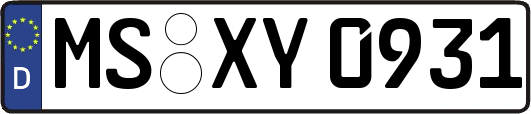 MS-XY0931