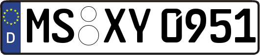 MS-XY0951
