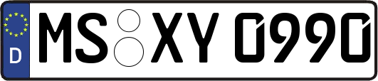 MS-XY0990
