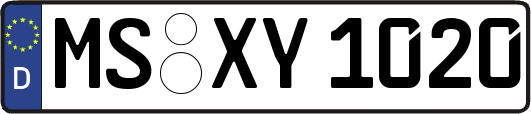 MS-XY1020