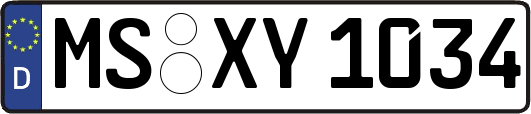 MS-XY1034