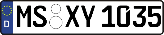 MS-XY1035