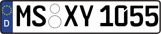 MS-XY1055