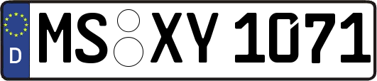 MS-XY1071