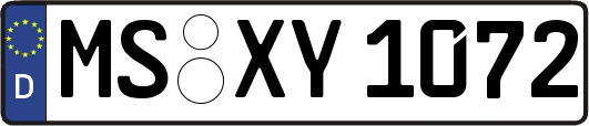 MS-XY1072