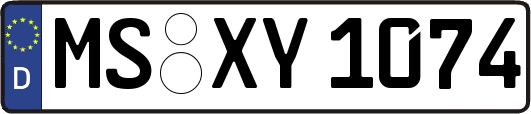 MS-XY1074