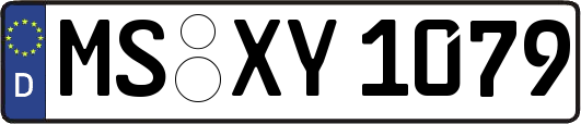 MS-XY1079