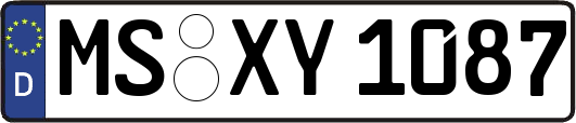 MS-XY1087