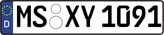 MS-XY1091
