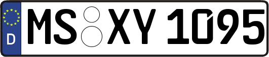 MS-XY1095