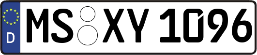 MS-XY1096