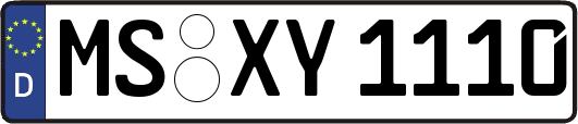 MS-XY1110