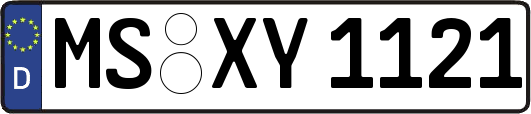 MS-XY1121
