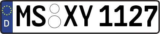 MS-XY1127