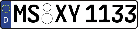 MS-XY1133