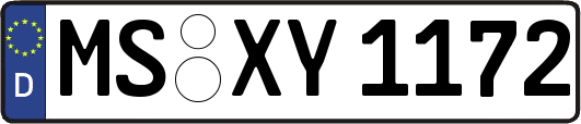 MS-XY1172