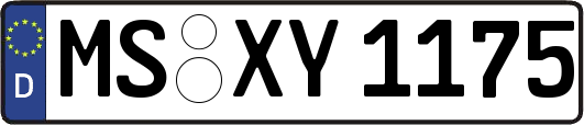 MS-XY1175