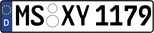 MS-XY1179
