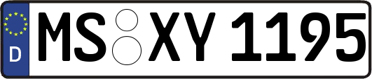 MS-XY1195