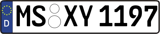 MS-XY1197