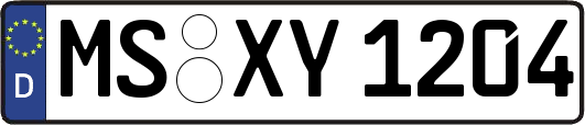 MS-XY1204