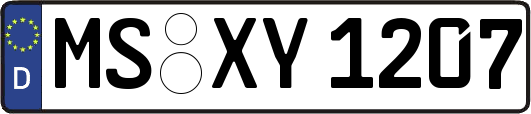MS-XY1207