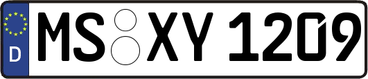 MS-XY1209