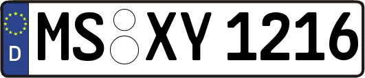MS-XY1216