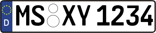 MS-XY1234