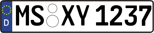 MS-XY1237